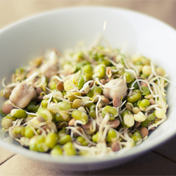 Sprouts-for-Ramadan-Sridhars-Diacare-copy